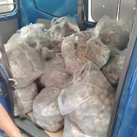 ĐỊA CHỈ CHUYÊN REVIEW BÒ VIÊN NGON SÀI GÒN BẠN KHÔNG NÊN BỎ QUA